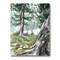 Designart - Pine Forest In The Early Morning - Lake House Canvas Wall Art Print